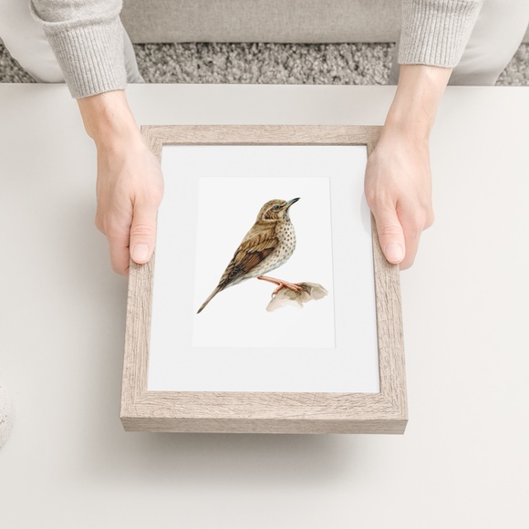 Song Thrush Bird Wall Art Watercolor Illustration Print Poster Card Unframed - Picture 4 of 7